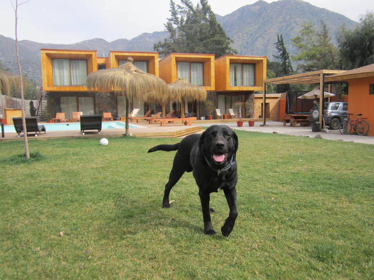 Cajon Del Maipo Lodge San Jose de Maipo Ngoại thất bức ảnh